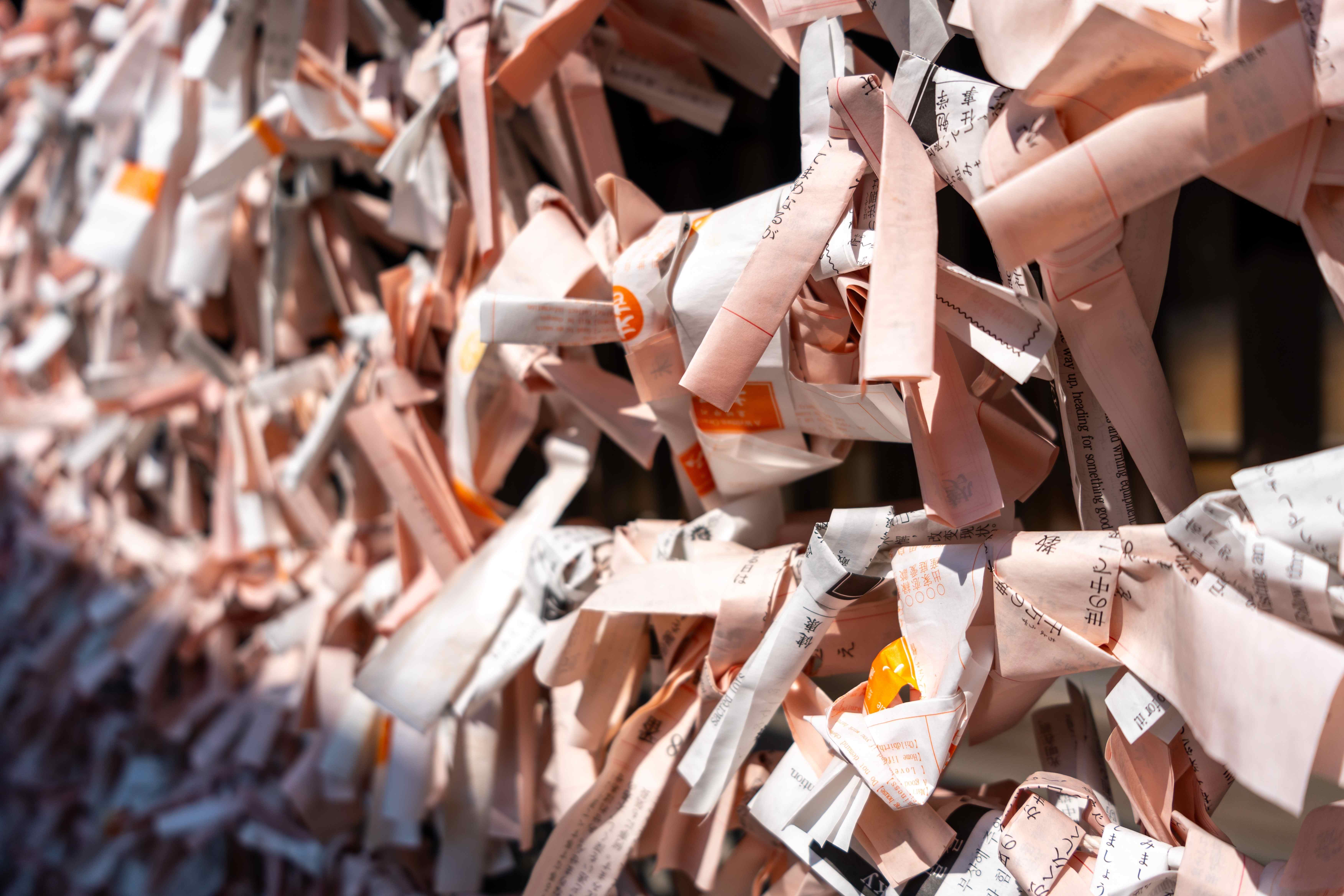 学びのコンテンツ 3